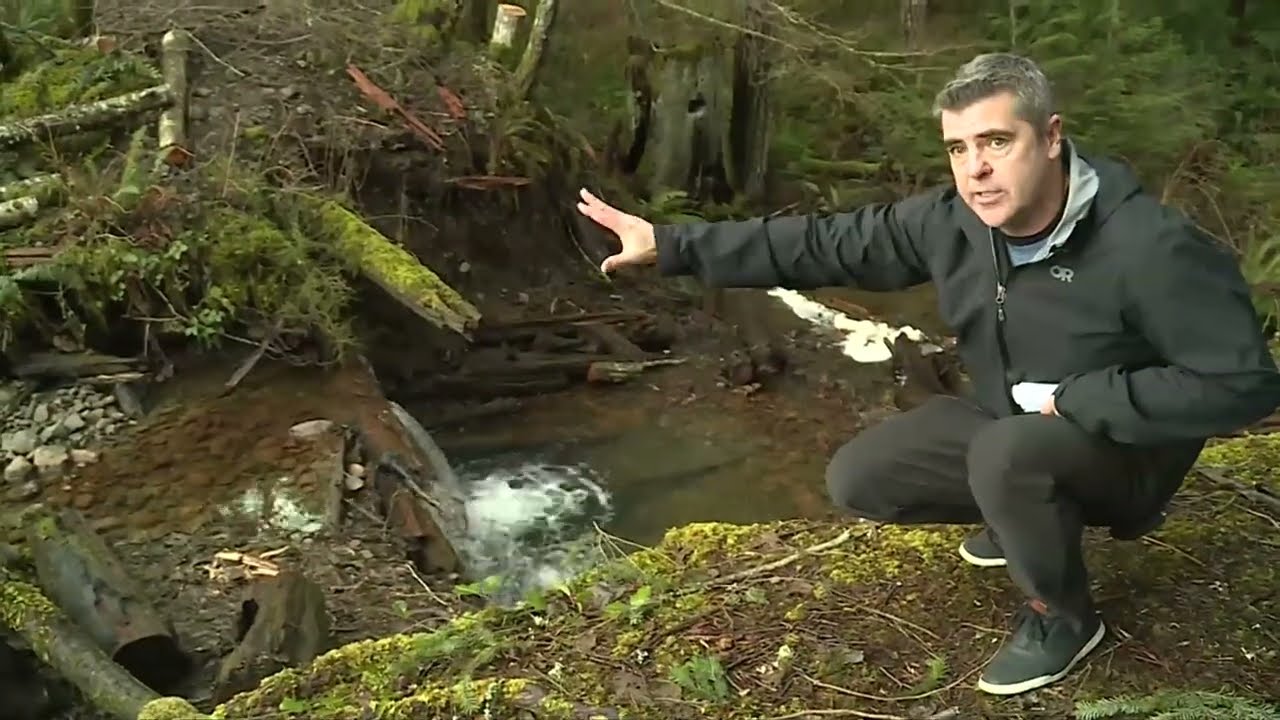 City of Nanaimo is behind Witchcraft Lake’s dropping water level