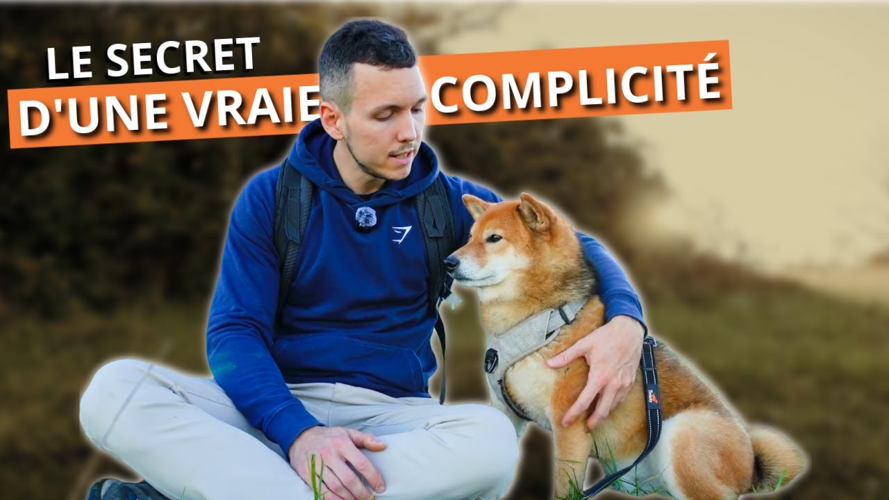 Comment j’ai créé un lien unique avec mon chien : 4 piliers essentiels (VLOG Mont Thou)