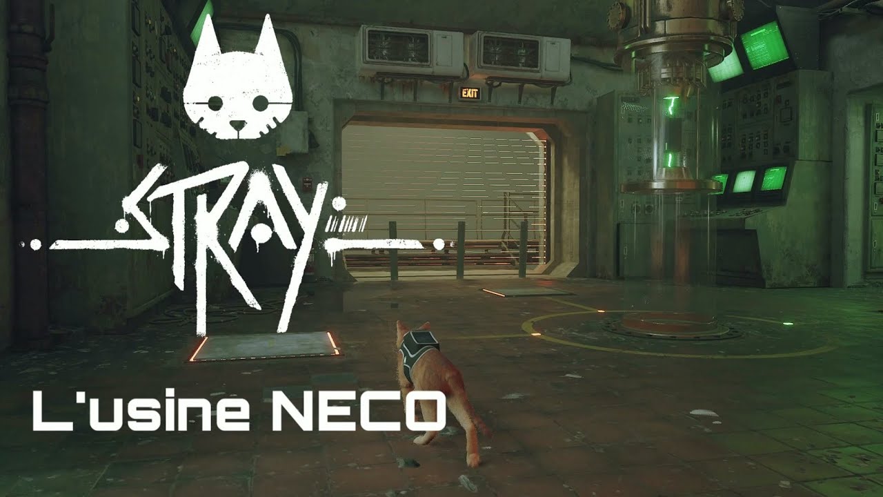 Stray | L'usine NECO