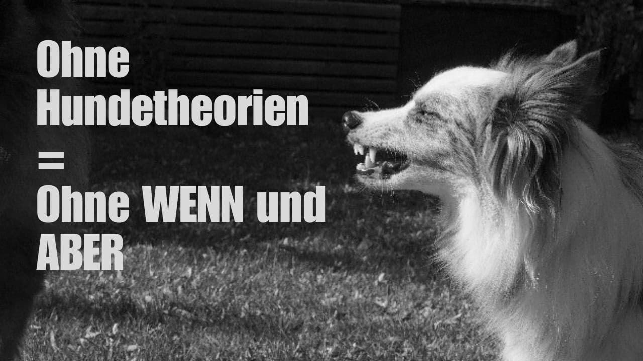 Warum HUNDETHEORIEN dein MITEINANDER mit deinem Hund zerstören.