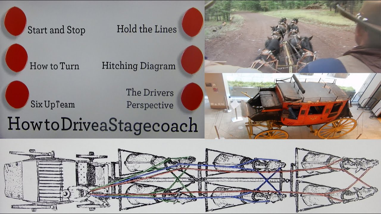 Wells Fargo Stagecoach Horse Simulator