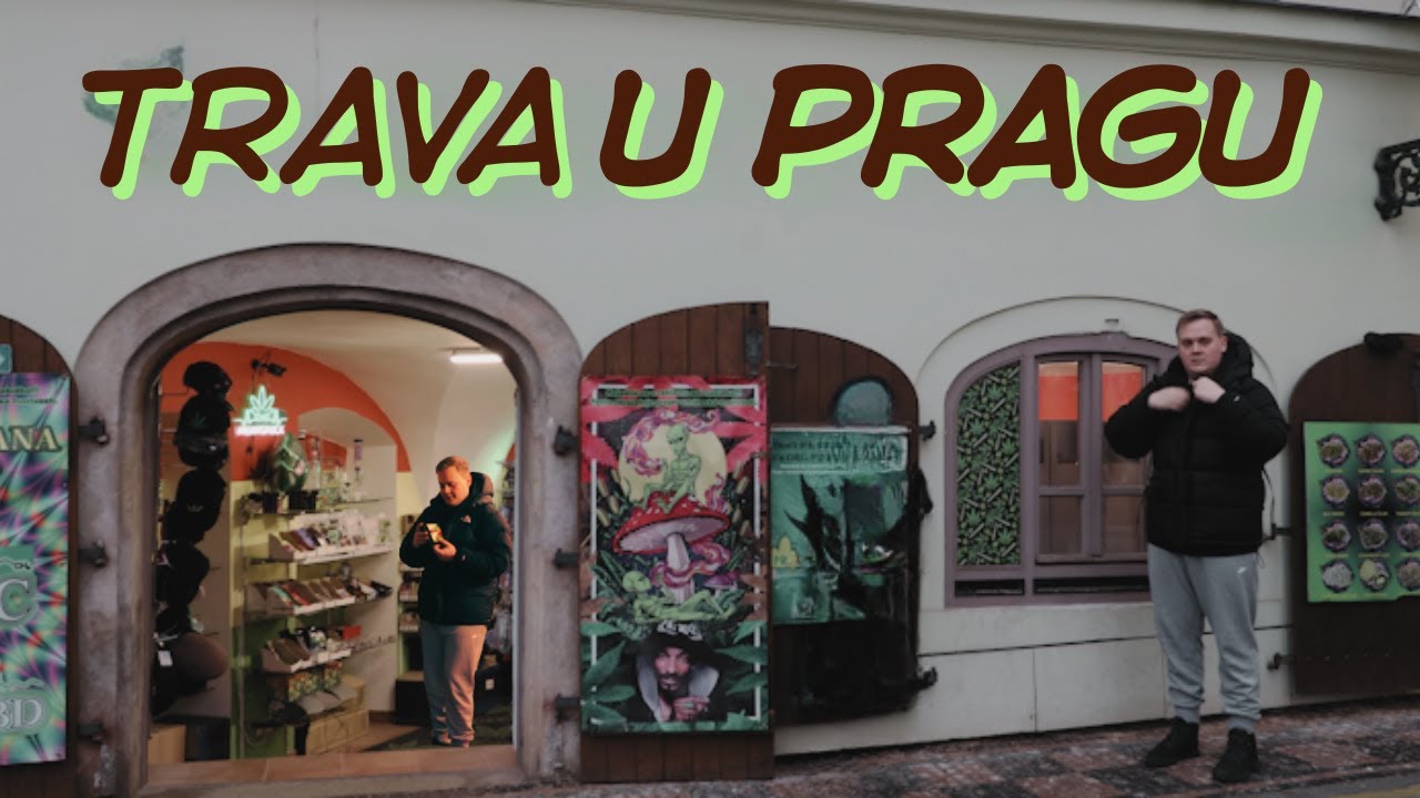 TRAVA (NI)JE LEGALNA I (NE)MOZETE JE KUPITI U PRAGU