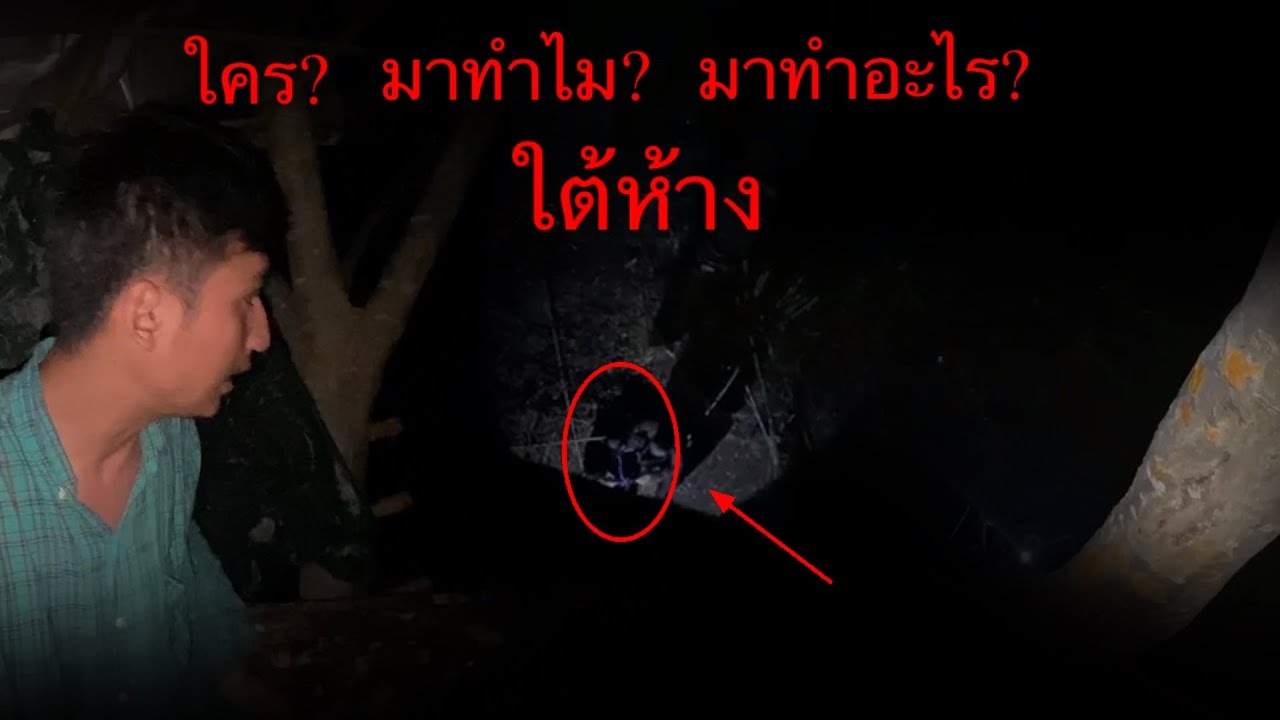 มันมาทำอะไรยามดึก ผวาทั้งคืน