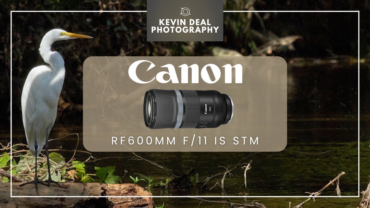 Почему Canon RF600mm f/11 по-прежнему хорош | Долгосрочный обзор