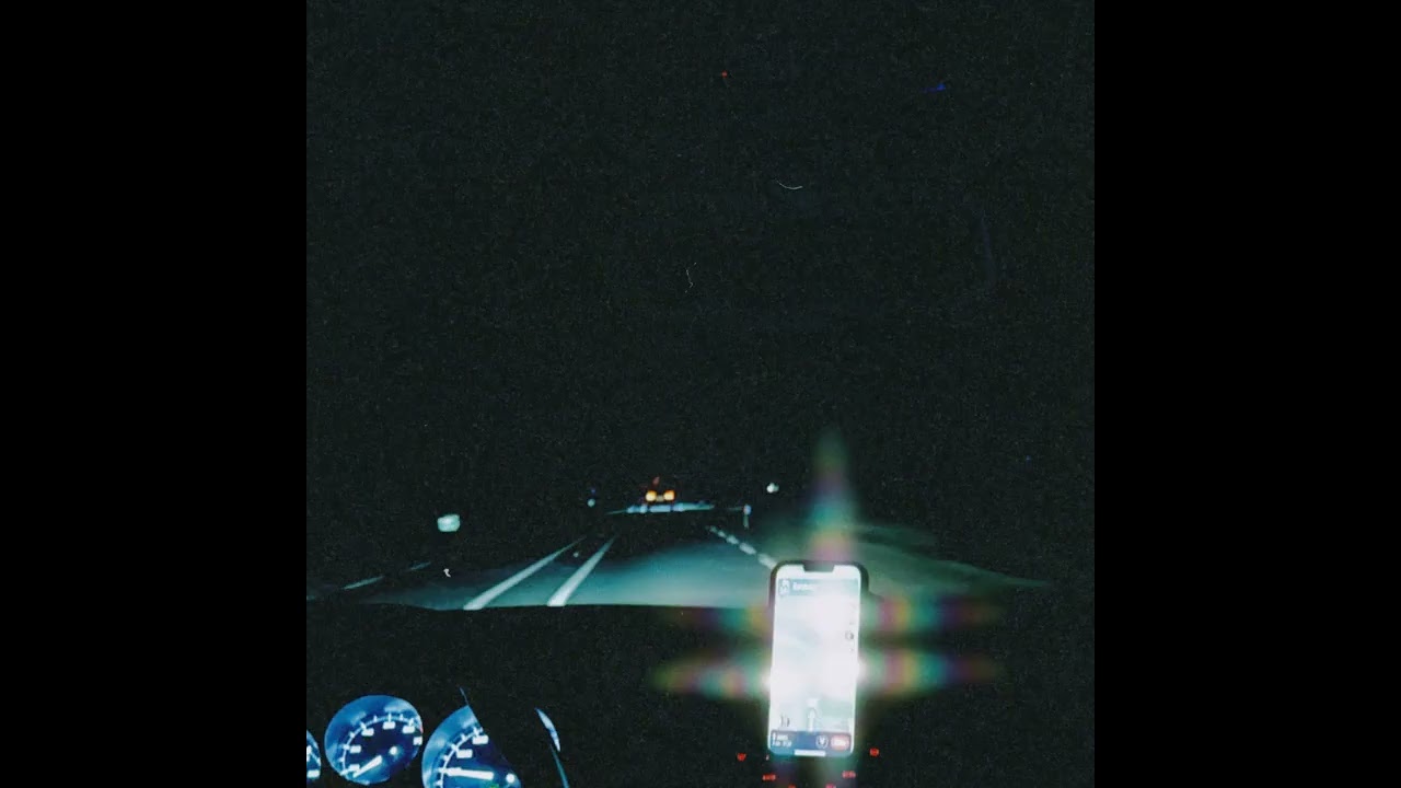 Dog on Acid - I'm so tired of this life