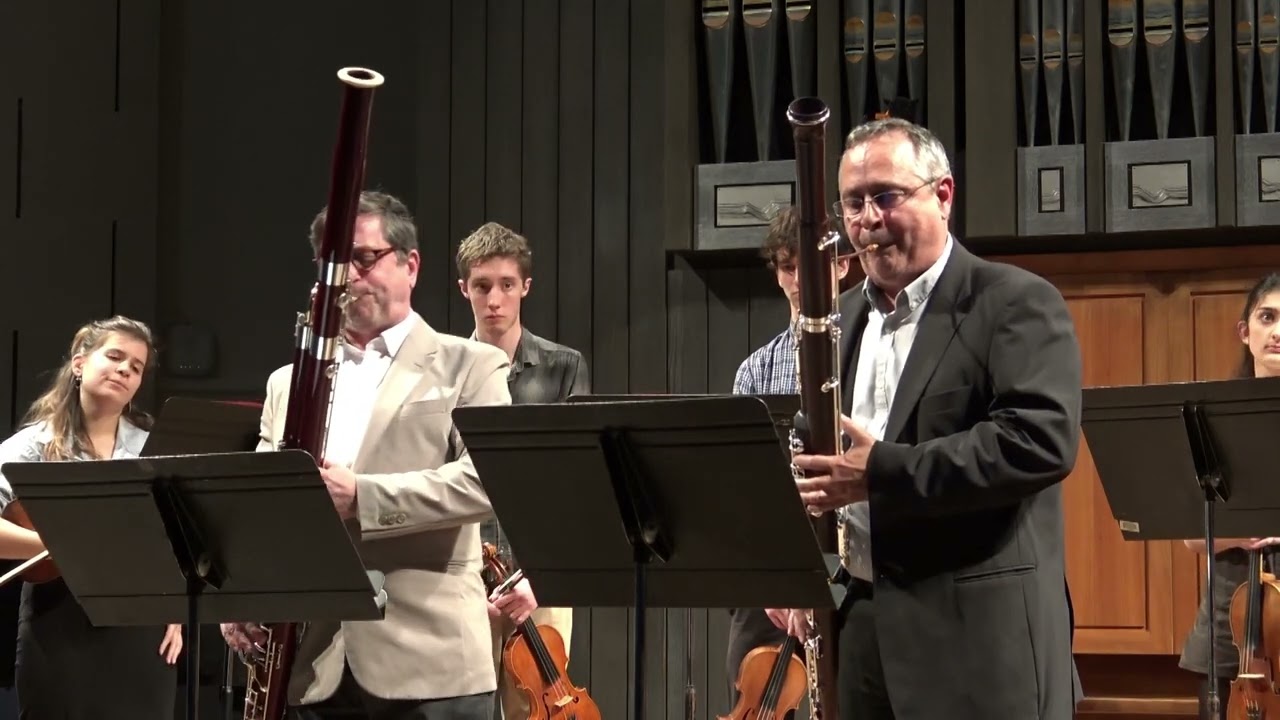Antonio Vivaldi : Concerto pour deux bassons en sol mineur F.VII n°2 RV531