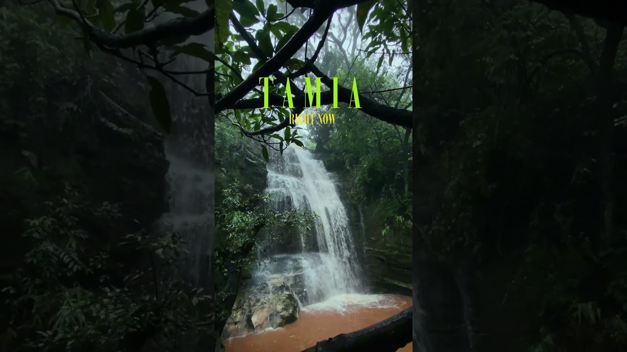 Tamia in Monsoon: Madhya Pradesh&rsquo;s Hidden Hill Paradise Awakens