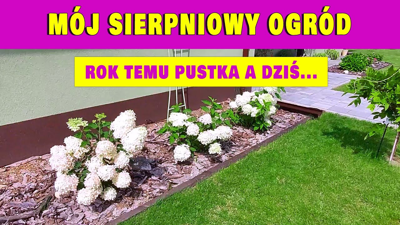 😲 Ogród po roku | Efekt przerósł moje oczekiwania | Sierpniowy spacer