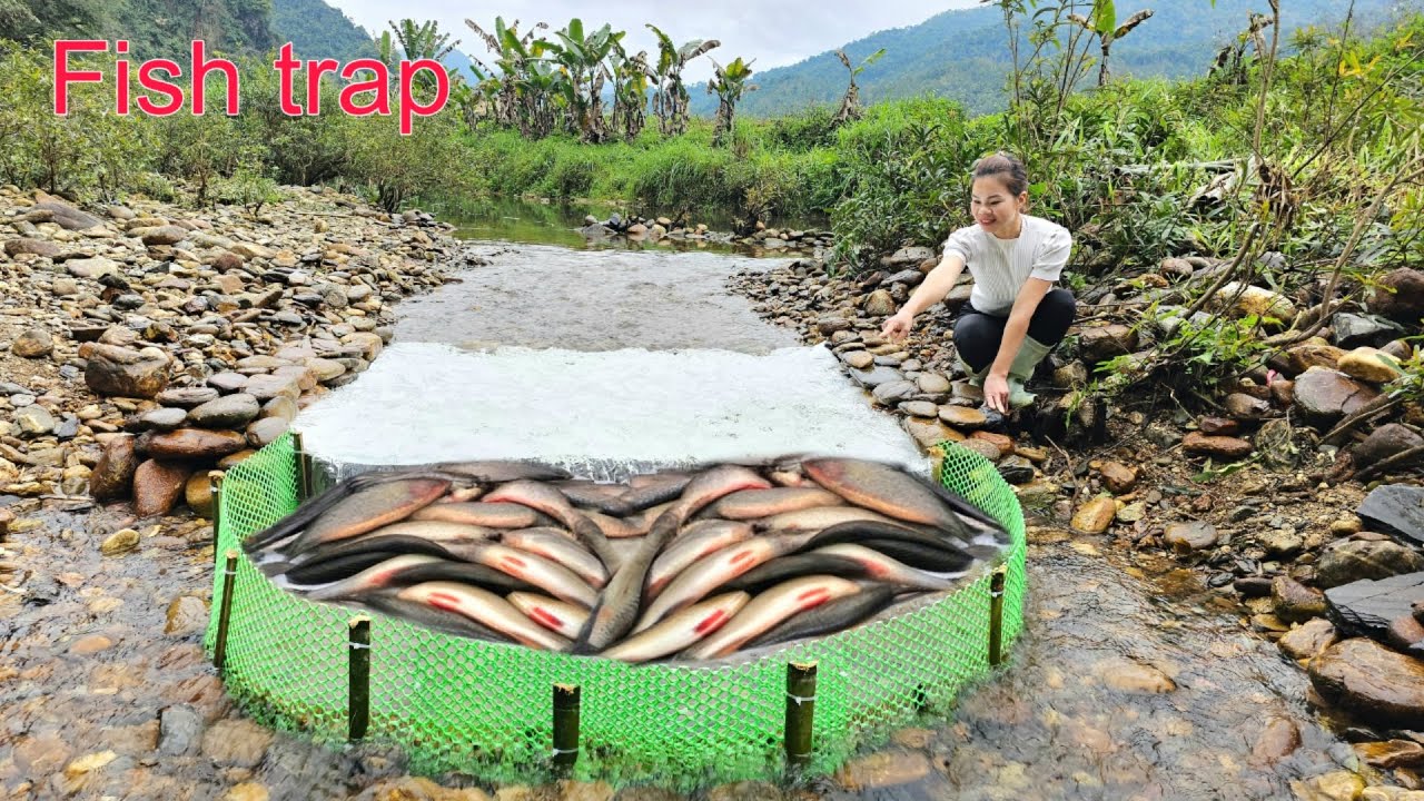Ana's unique way of trapping fish. And unexpectedly caught a lot of big fish. | Ana fishing