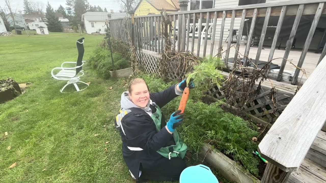 Cleaning out the garden before winter 