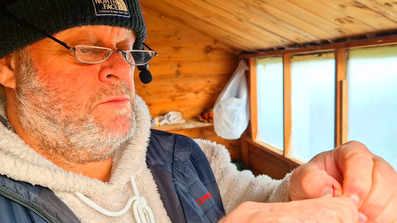 Участок с солнечной энергией! — Alfie's Agriculture
