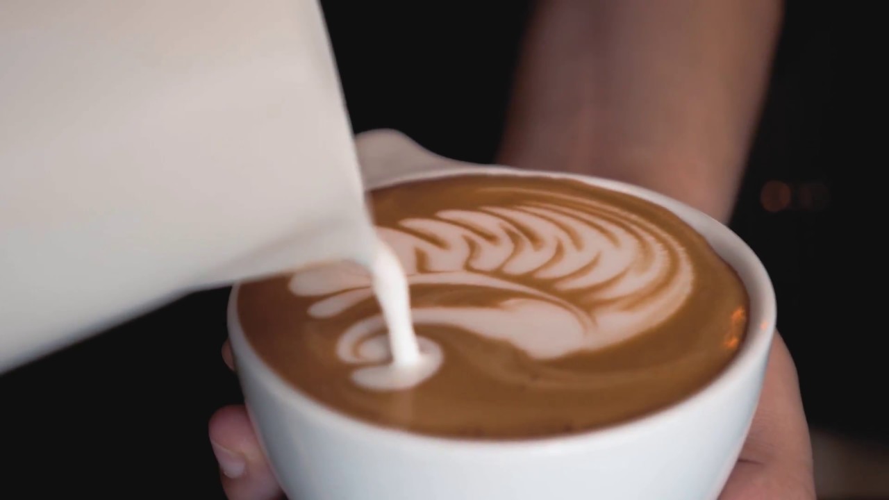 Welcome to Vice City Bean | Serving Great Coffee In Miami