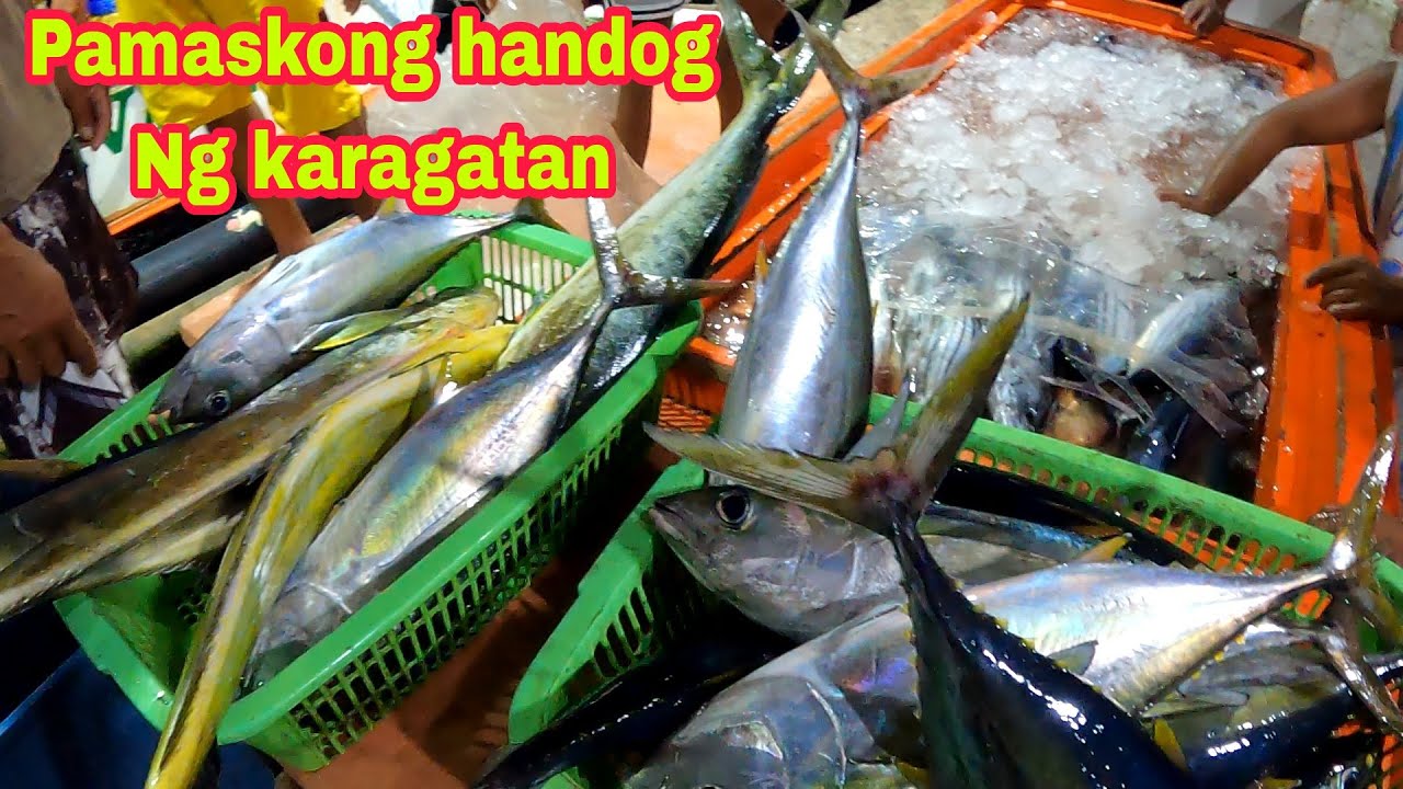 Part32 Pacific adventure| Pamaskong handog Ng karagatan| #migododzfishingadventure