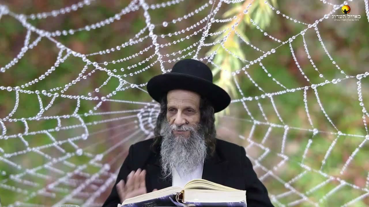 הרב עופר ארז - מעשה מזבוב ועכביש תרמית היצר בדור האחרון