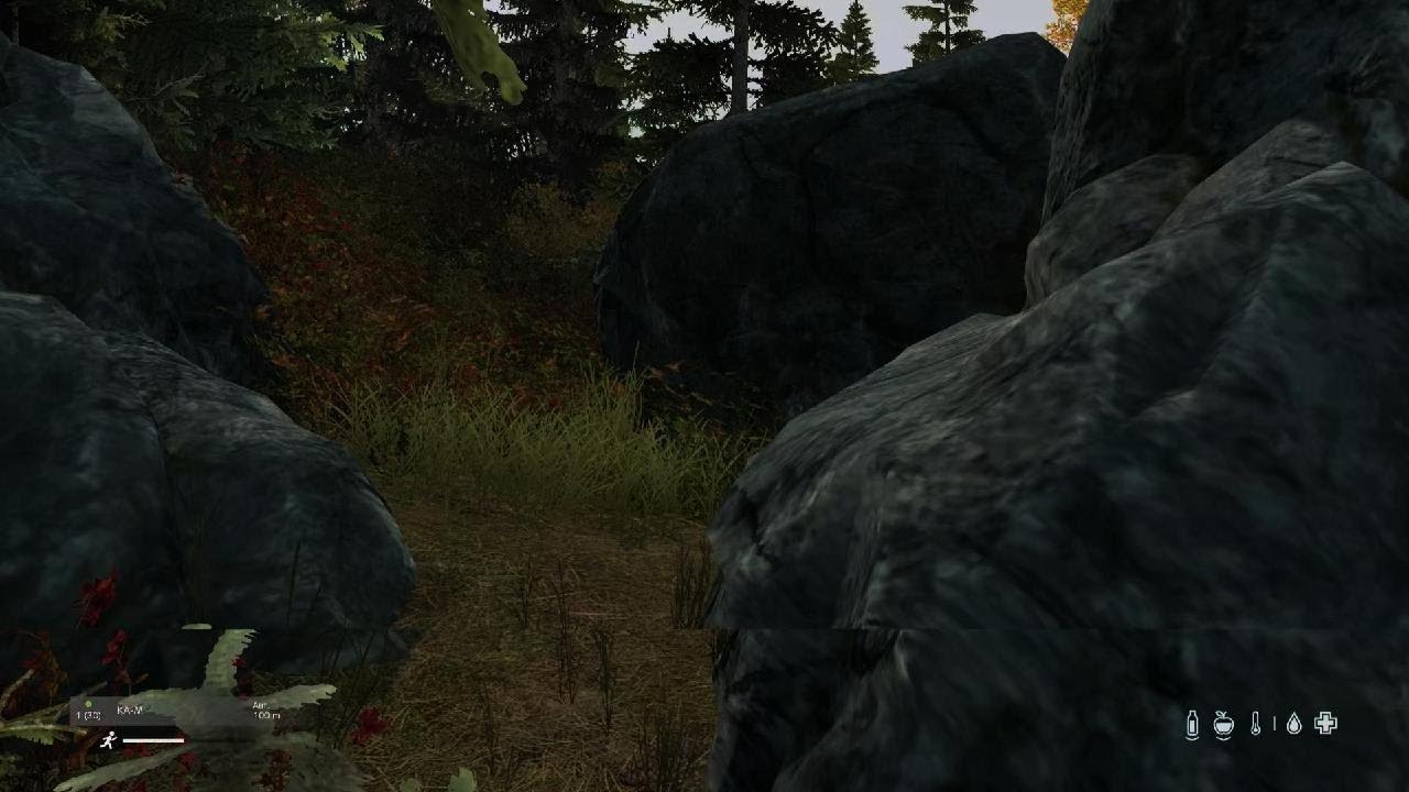 DayZ_20260303001039