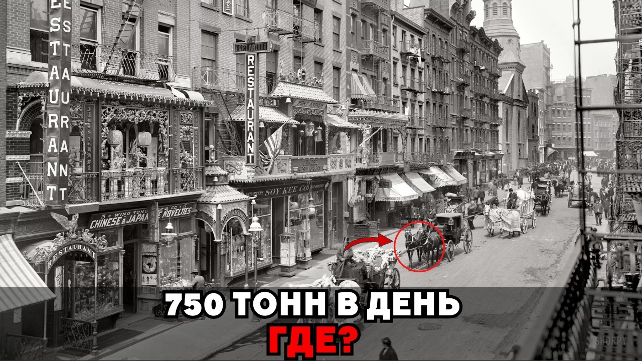 Города XIX века были чище, чем сегодня — куда исчезали тонны мусора!