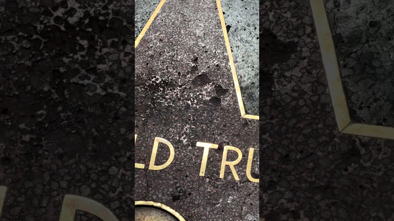 53-й день на Аллее славы просто прекрасен! #DonaldTrump #Hollywood #California