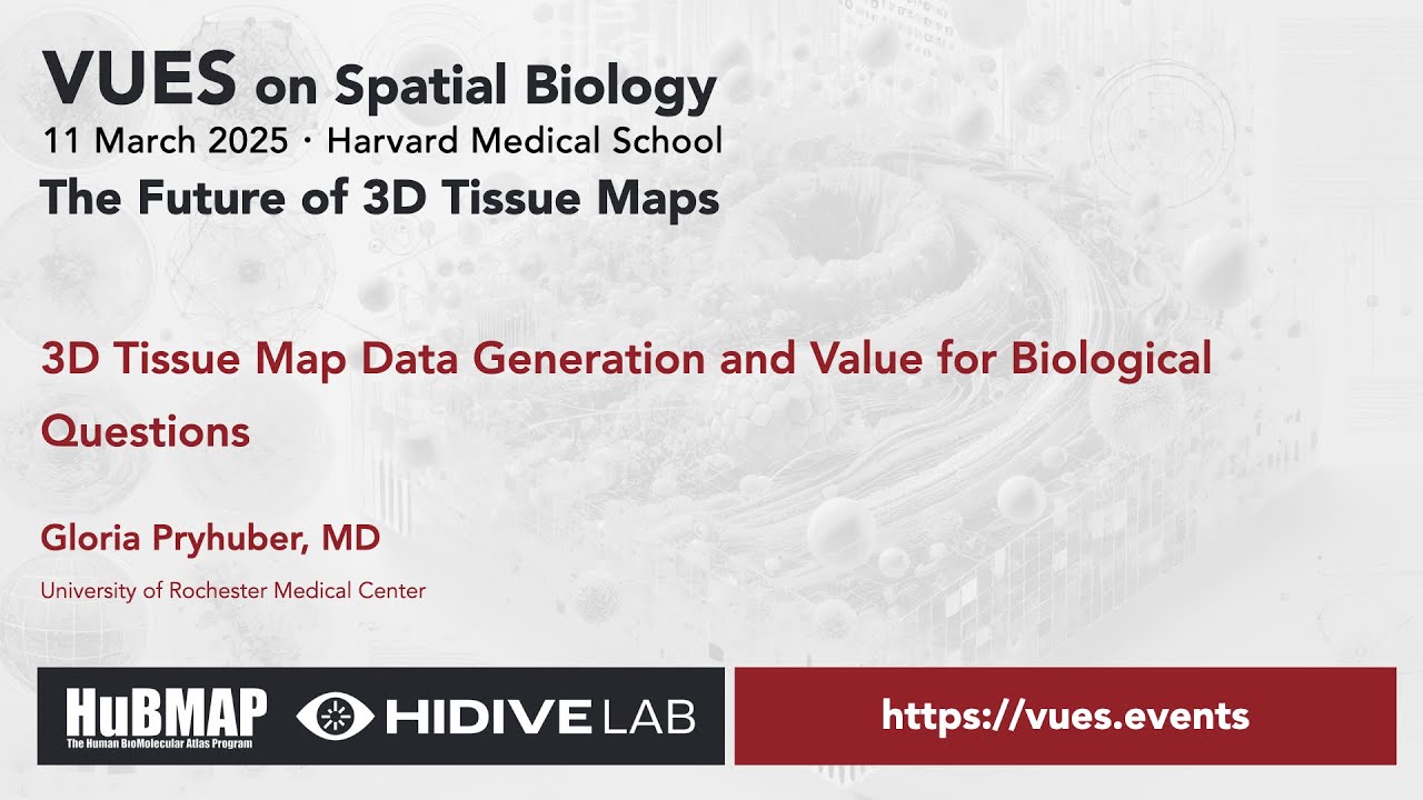 VUES on Spatial Biology - March 2025, Gloria Pryhuber, MD