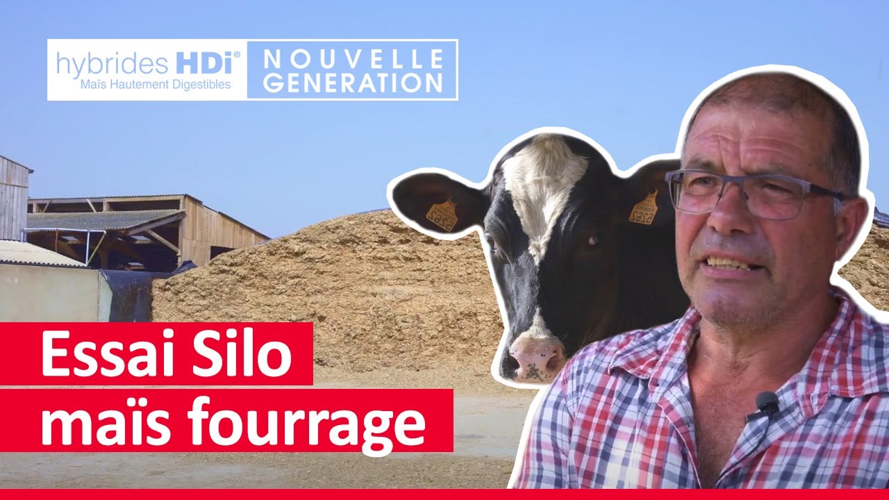 Ma&iuml;s fourrage HDi&reg; (hautement digestibles) : quels r&eacute;sultats ?
