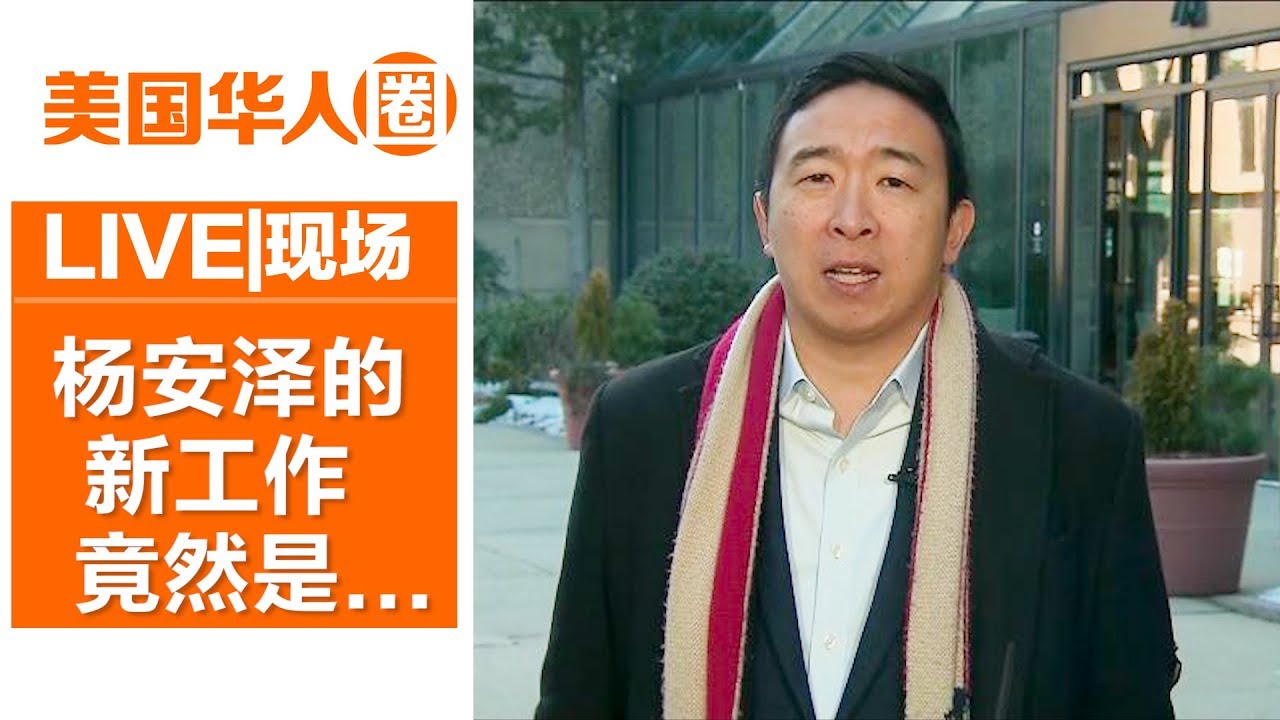 退选一周后 杨安泽找了一份新工作...【美国华人圈】