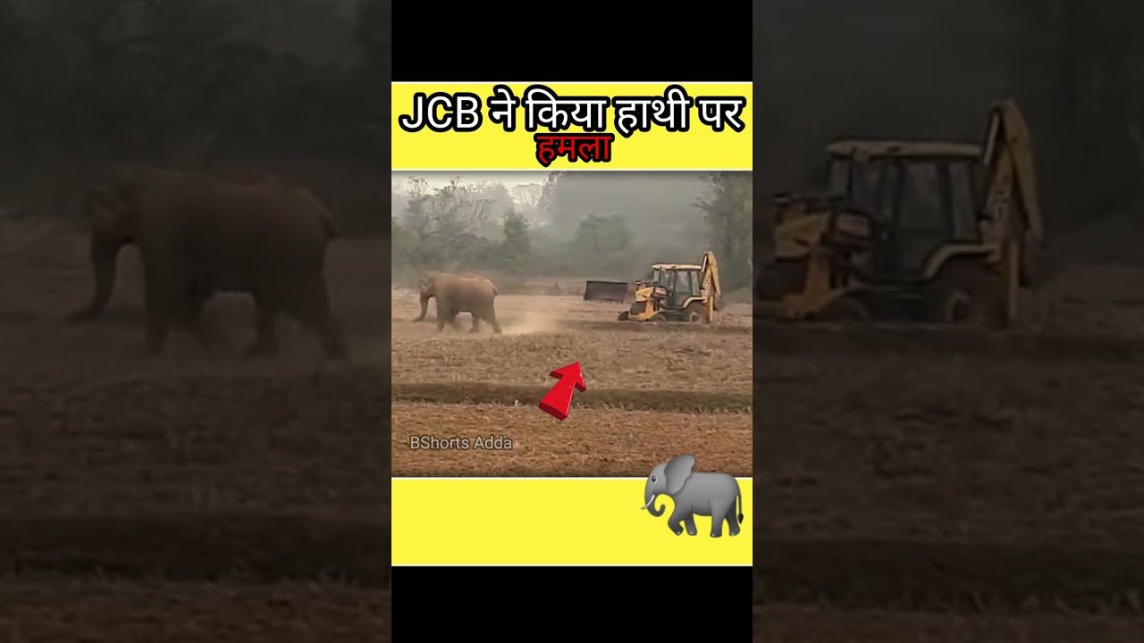 JCB made a fatal attack on elephant 😱💪❗ JCB Vs Elephant ❗ #shorts