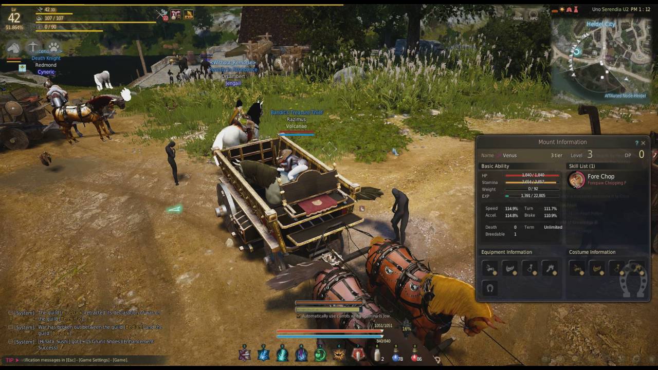 Professional Horse Trainer Black Desert Online