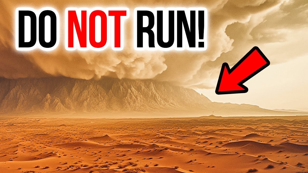 What Is a Haboob and Why You Should Be Afraid of It?