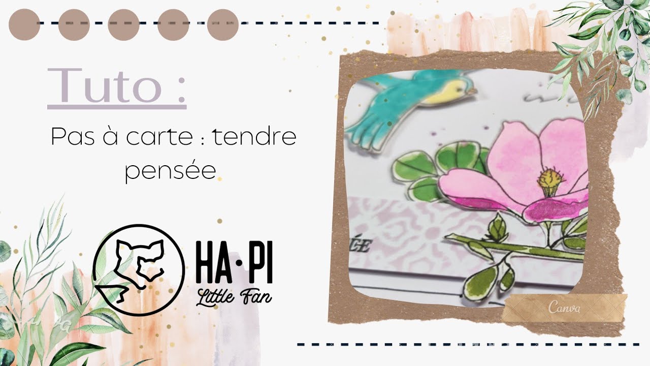 Pas à carte : Tendre Pensée
