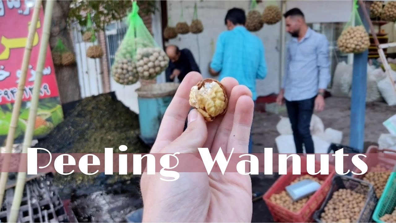 peeling walnuts in Iran-Urmia
