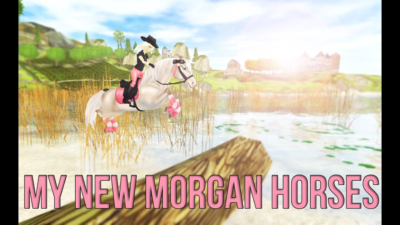 My new Morgan horses ♥Star Stable Online♥