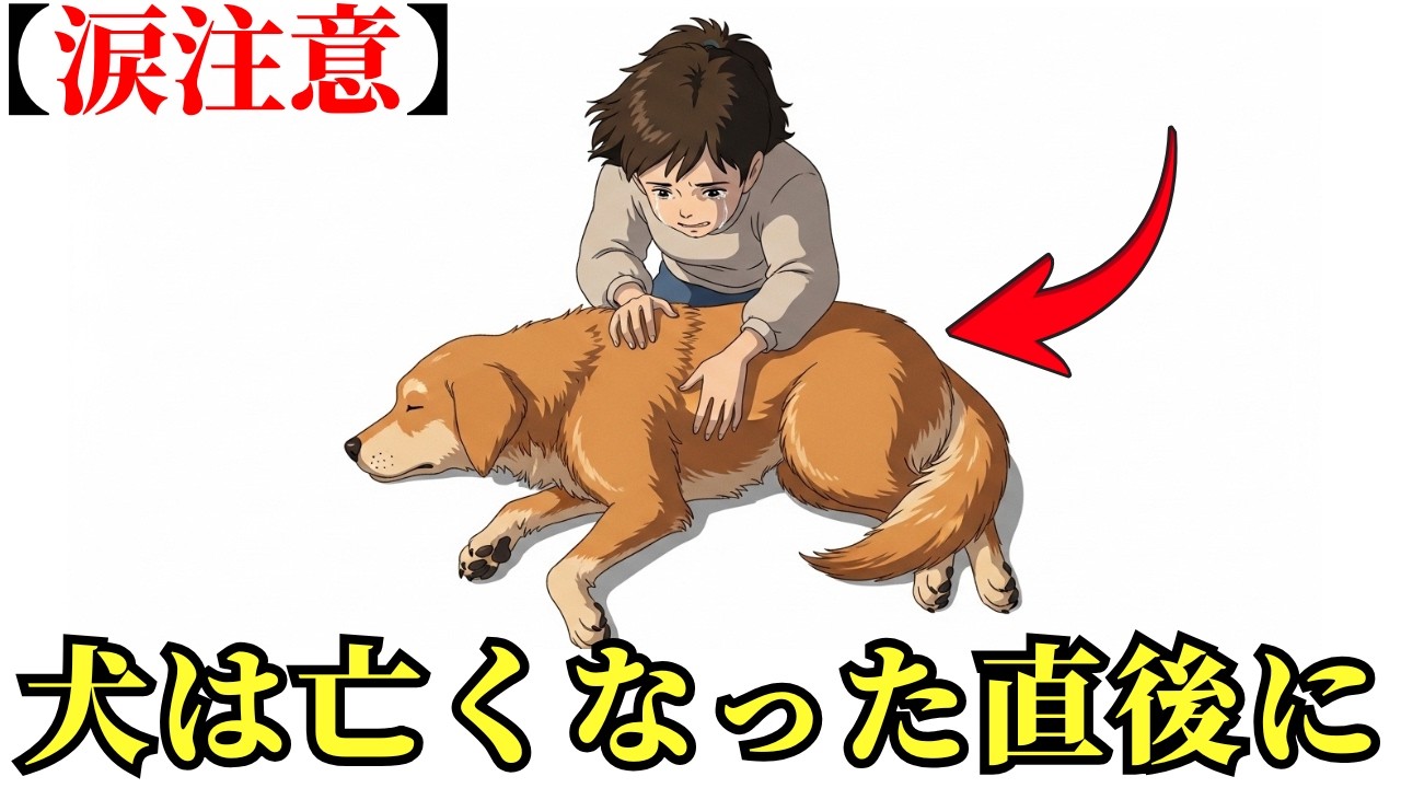 【涙注意】飼い主が亡くなった直後、犬が見せた行動