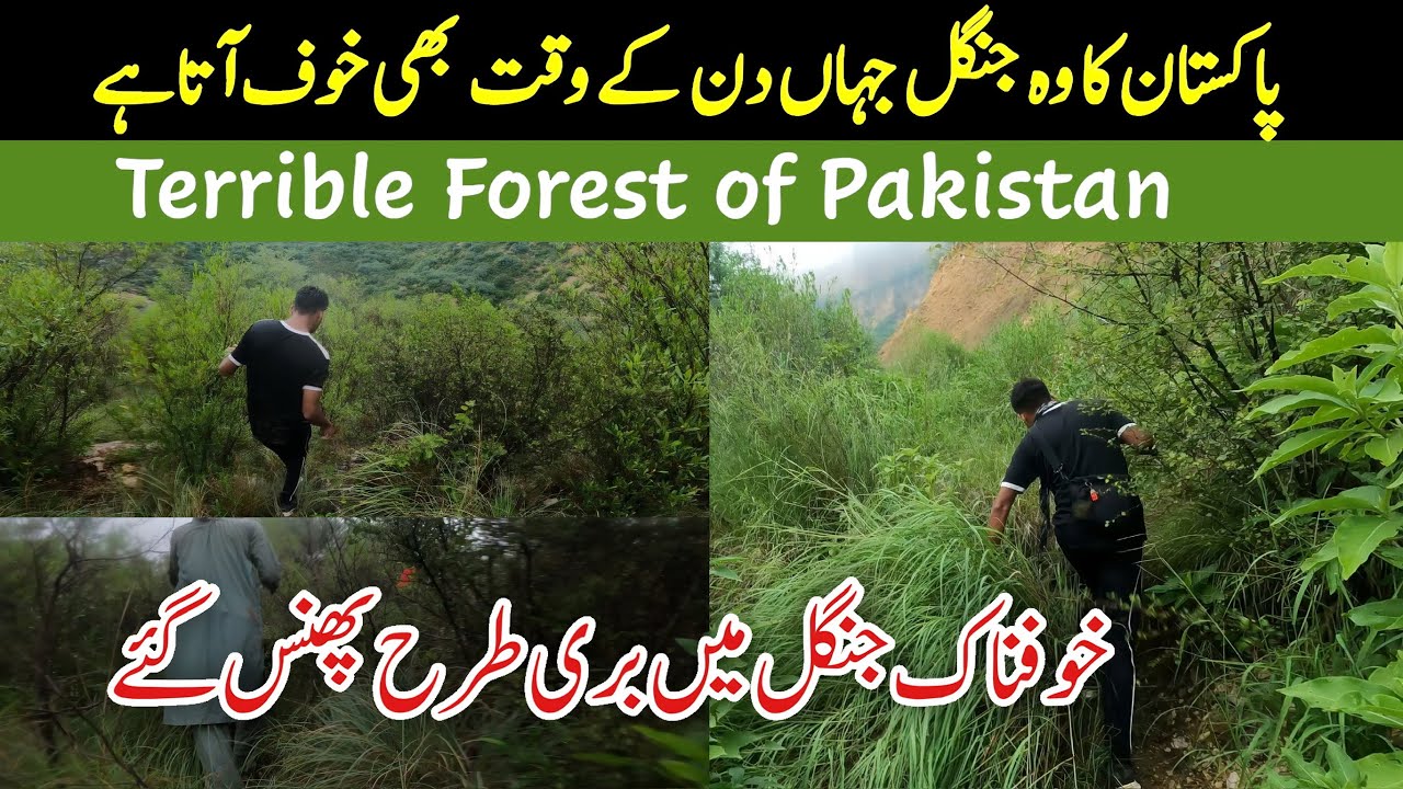 Terrible forest of Pakistan | The Forest Where Fear Comes Even During The Day | Soon Valley Khushab