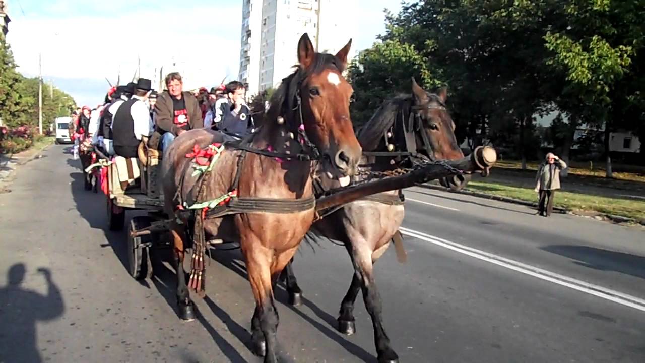 csoszok felvonulasa nagykaroly