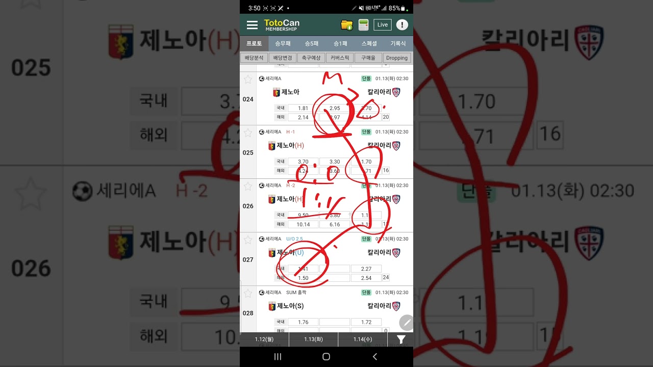 1월 12일 월요일 / 배당 분석의 본질에 대하여.