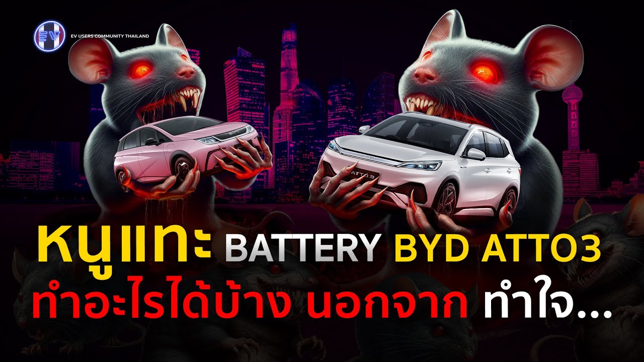 หนูกัดแทะแบตเตอรี่ BYD ATTO3 และ BYD Dolphin เจ้าของรถ EV ทำอะไรได้บ้าง นอกจาก ทำใจ