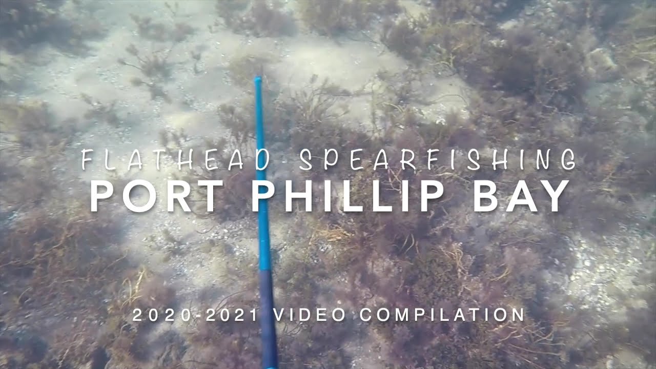 Flathead Spearfishing PPB Compilation 2020-2021 (Pole Spear)