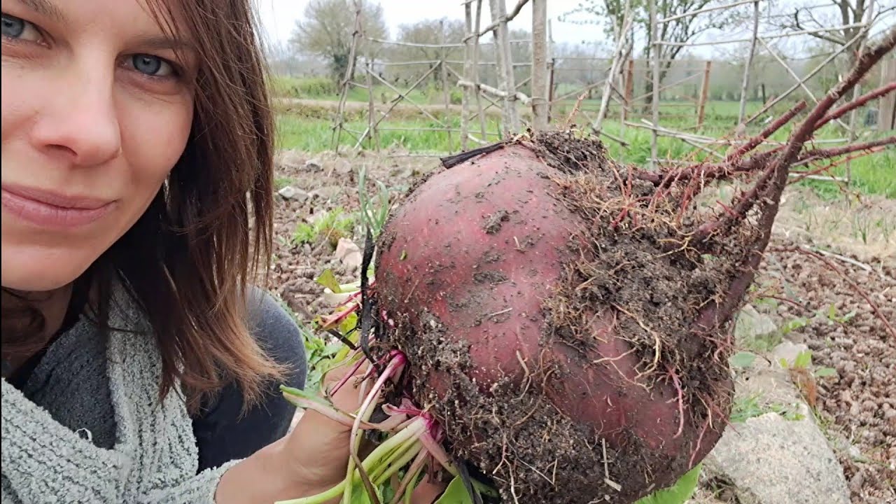 vivre simplement,  vivre de la terre 🌎 💜🧙‍♀️