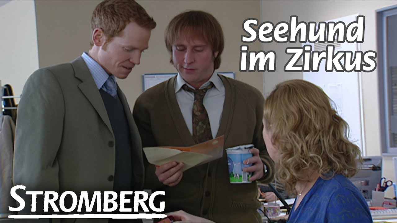 Seehund im Zirkus | Stromberg HD