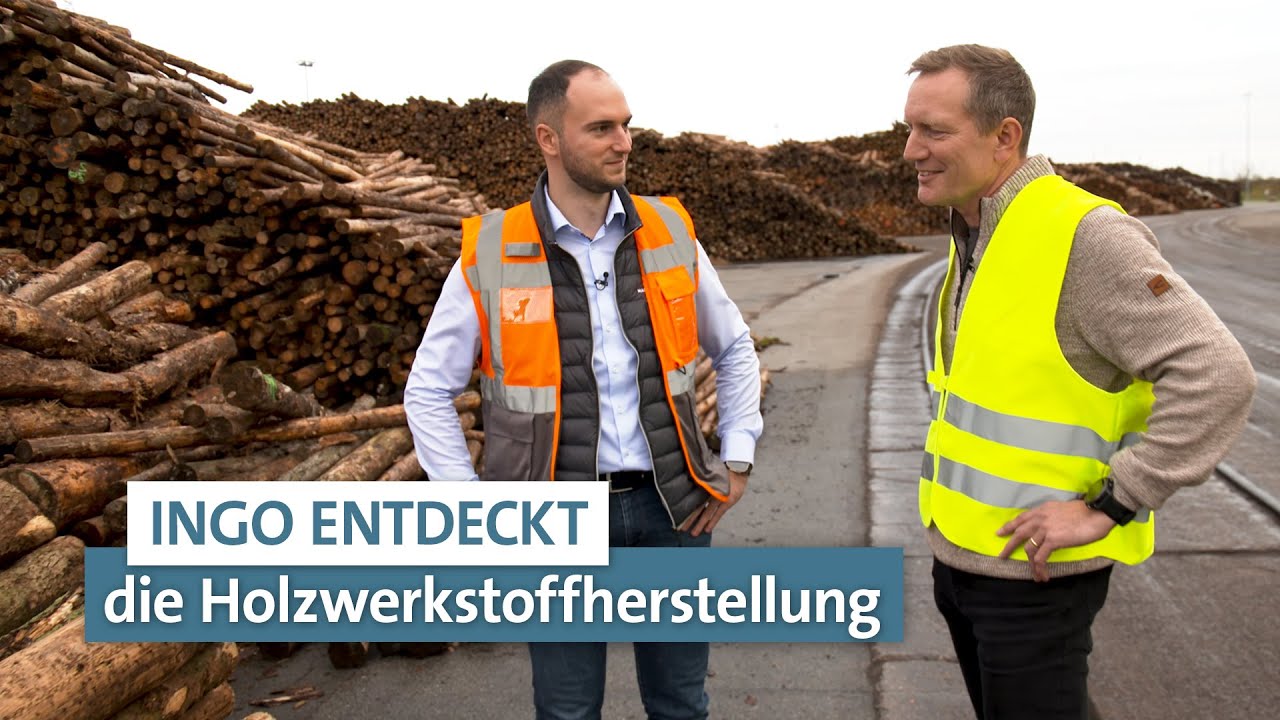 Ökologische Baustoffe aus Holz | Ingo entdeckt | LIGNA.TV #roomtour #holz #handwerk