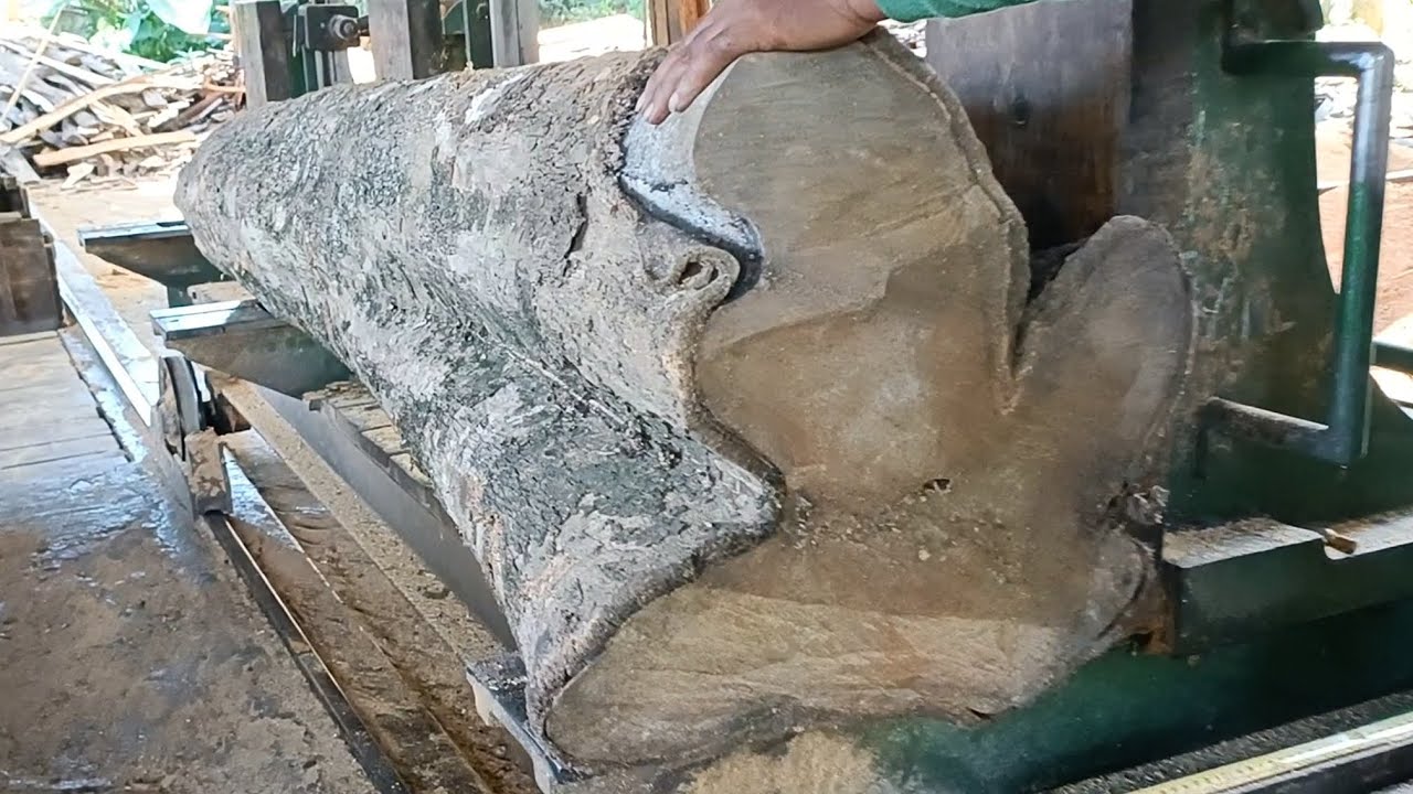 Beautiful and satisfying minutes in the wood sawing process at the sawmill 
