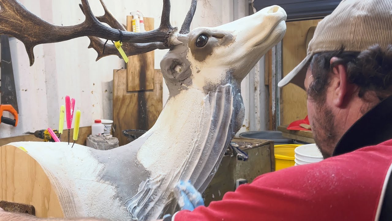 Taxidermy, Never mounted a buck in this position before, start to finish in under 5 minutes.