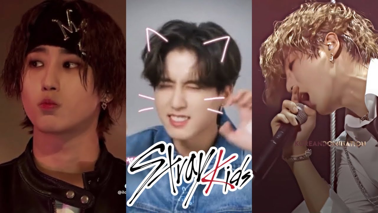 Stray Kids 스트레이 키즈 HAN JISUNG tiktok ⭐ #1