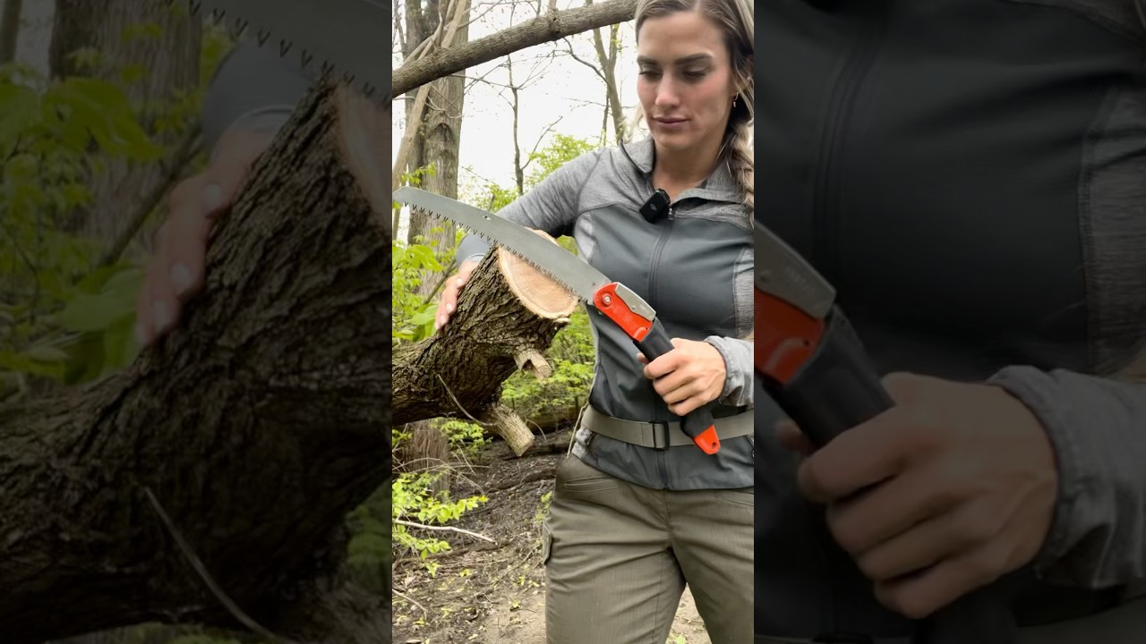 The best Folding Saw