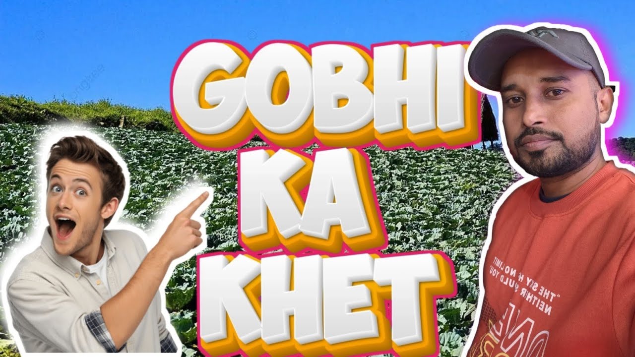 Gobhi Ka Khet 🌿 | Hari Bhari Sabziyon Ka Sundar Nazara