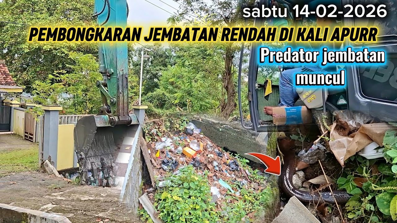 HOROR❗️ PREDATOR PENUNGU JEMBATAN KELUAR AHIRNYA KALI APUR