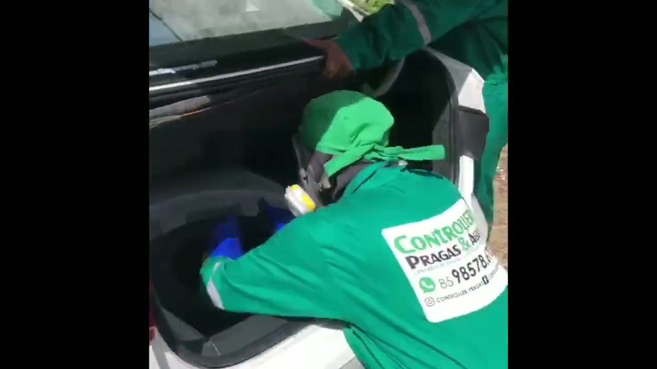 dedetização veicular.