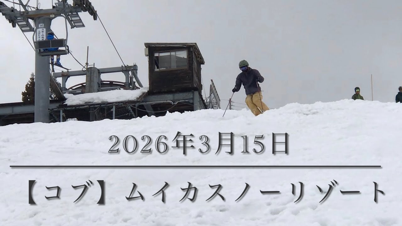 【コブ】 2026年3月15日 ムイカスノーリゾート