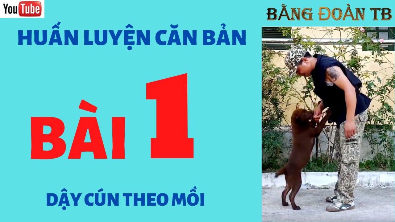 Huấn Luyện Cơ Bản l Huấn Luyện Chó Con Ham Mồi  Bài 1 l Bằng Đoàn TB