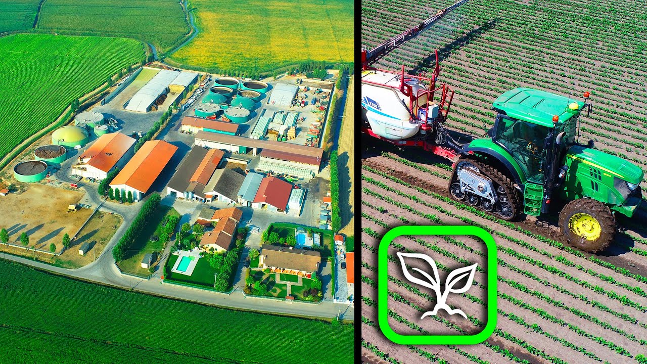 AgriAGGIORNA 24: SOLUZIONI BAYER per l'AZIENDA CAZZOLA | AGRICOLTURA DI PRECISIONE SEMINA-MAPPATURE