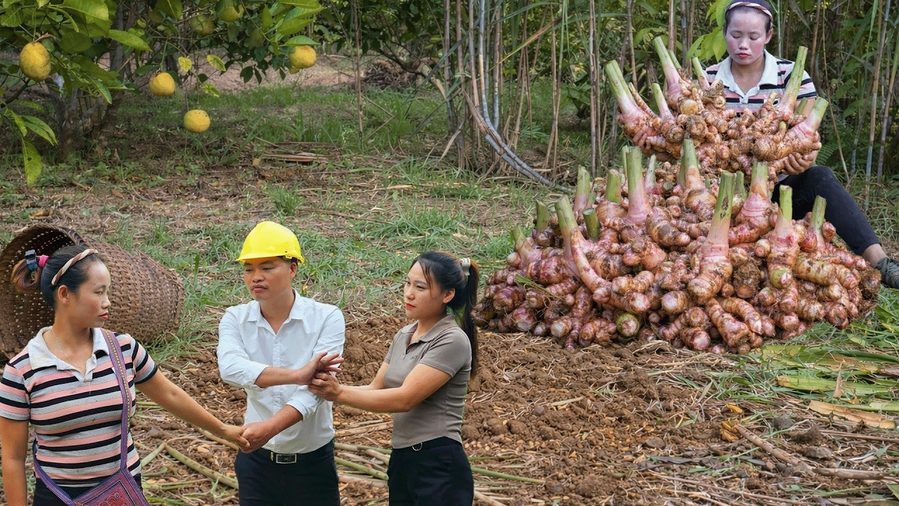 Strange Girl Sitting by the Water | Unexpected Encounter During Galangal Harvest